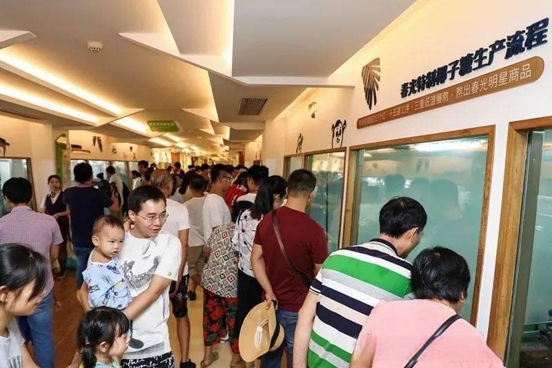 去海南必玩的工业旅游，春光椰子王国