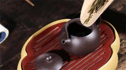 一把紫砂壶可以泡不同的茶吗？