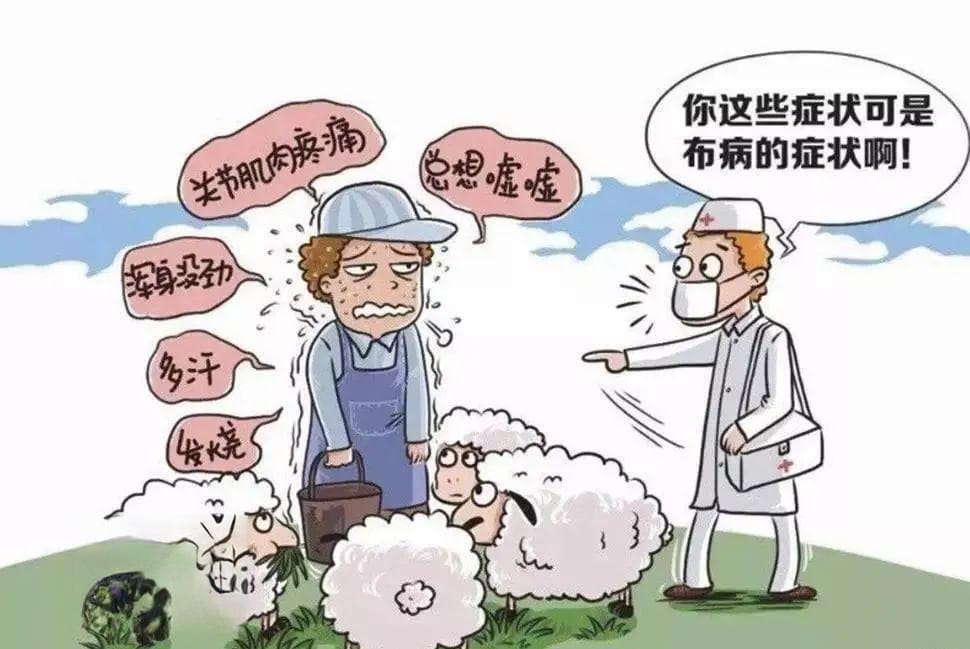 了解布鲁氏菌病，远离“懒汉病”的威胁
