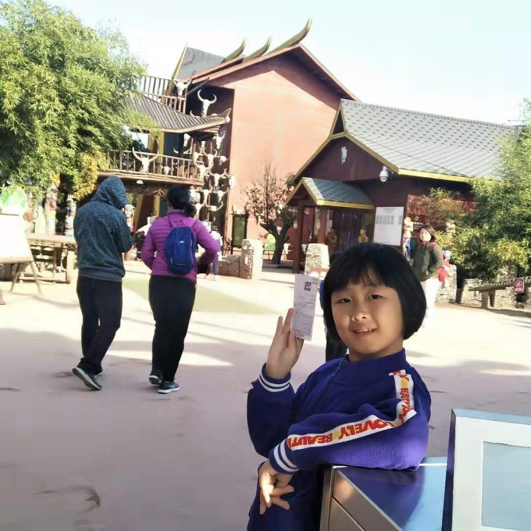 北京飞三亚机票价格查询指南，详细步骤与价格查询解析