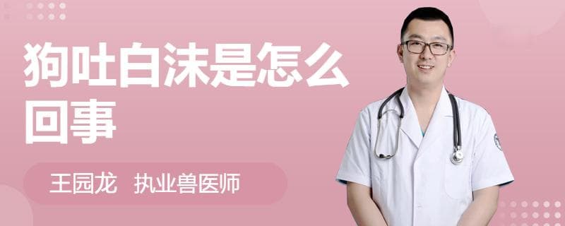 狗吐白沫是怎么回事