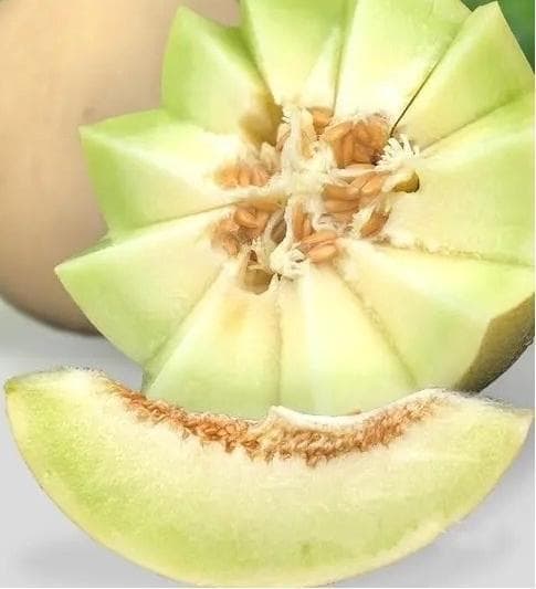 舌尖上的瓜州