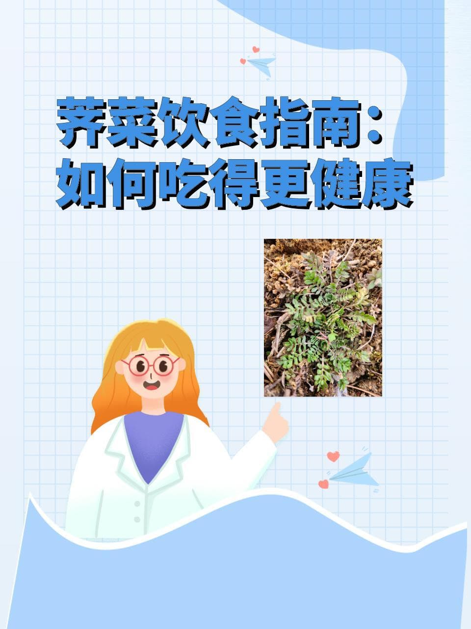荠菜饮食指南：如何吃得更健康