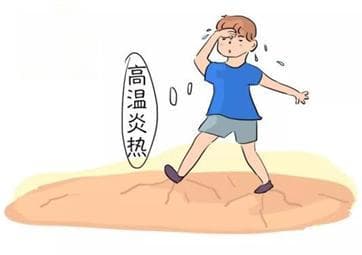 夏日炎炎防中暑，这些中药来帮护