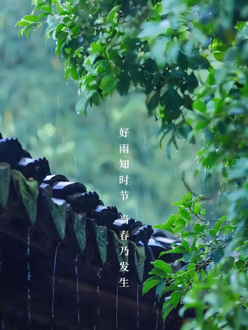 杜甫写雨最美的一首诗，全篇都是名句，千年来无人超越
