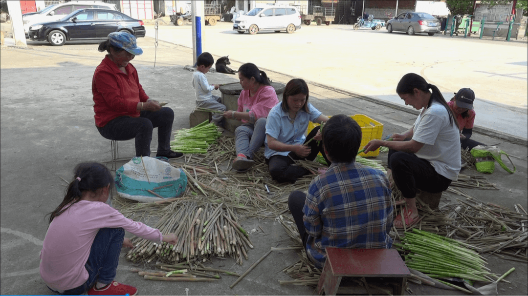 江永松柏瑶族乡：竹笋产业焕发新生机 农民踏上增收“绿色路”