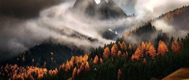 独立精神：个人成长的基石