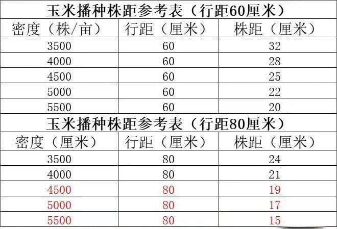 玉米种植密度多少合理？内附密度对照表