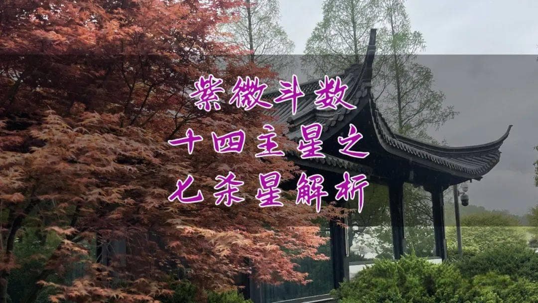 紫微斗数十四主星之七杀星解析