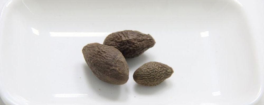 胖大海泡水喝的正确方法和用量