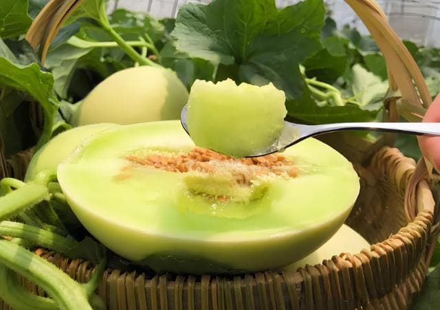 吃甜瓜对身体有什么好处？甜瓜变身美食魔术师，轻松打造夏日盛宴