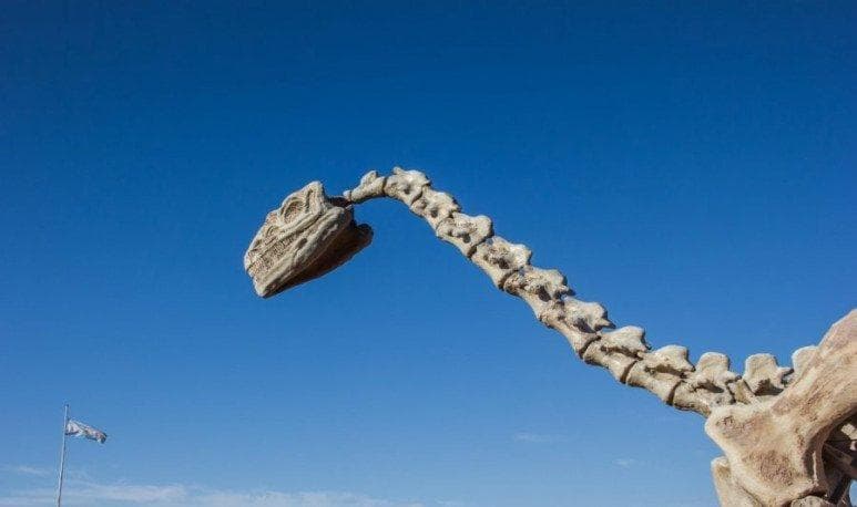 世界上最大的恐龙在阿根廷出土，刷新人类认知