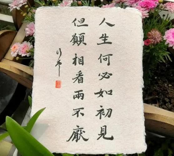 人生若只如初见的意思是什么
