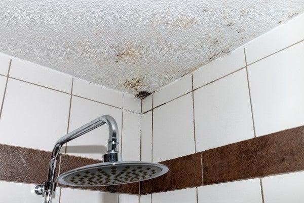 屋企天花漏水怎么办？原因与处理途径全解析