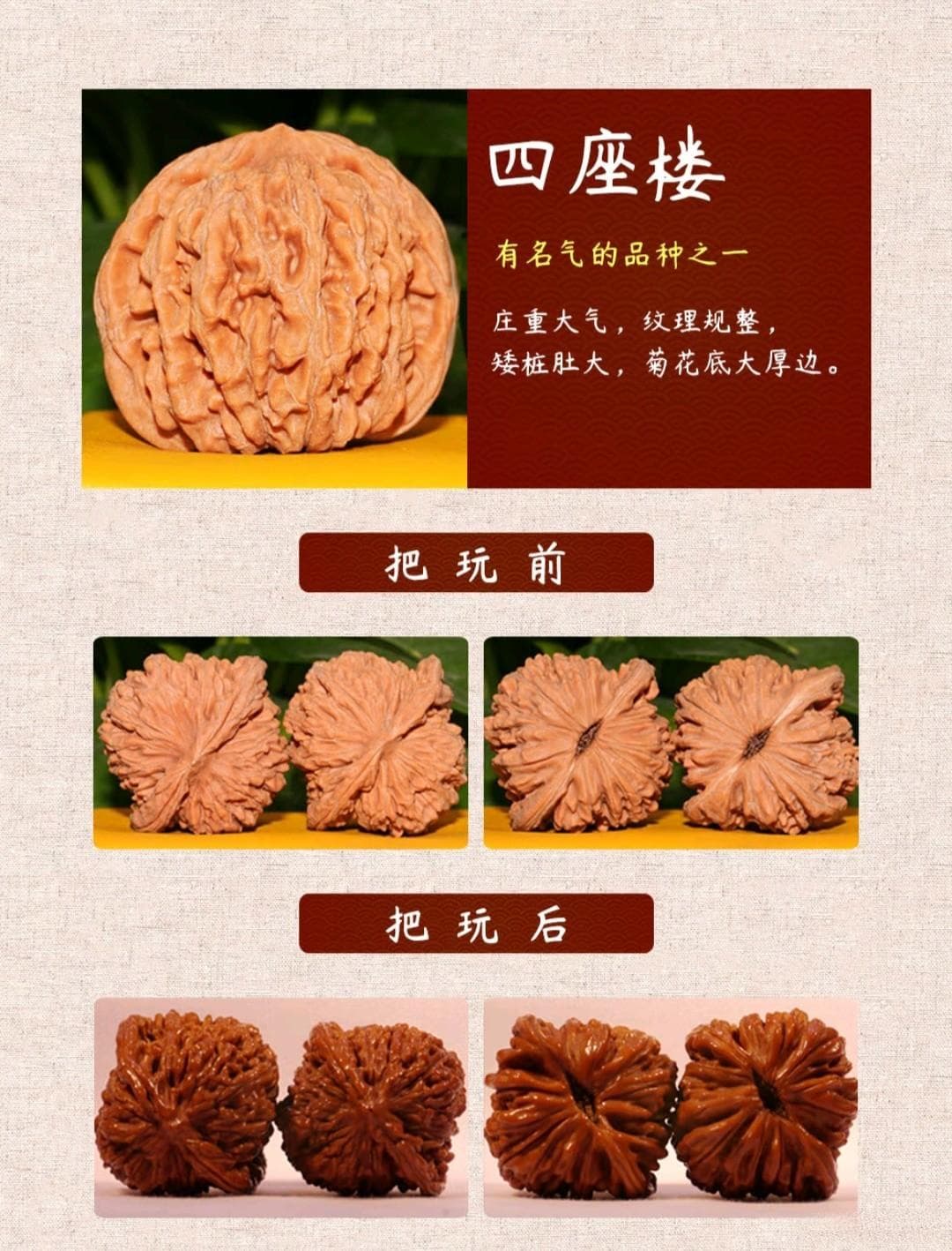文玩核桃大揭秘！品种鉴赏与盘玩技巧一网打尽