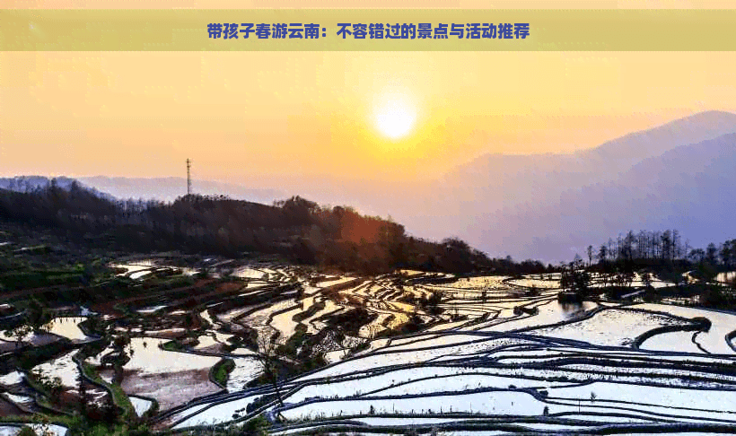 带孩子春游云南：不容错过的景点与活动推荐
