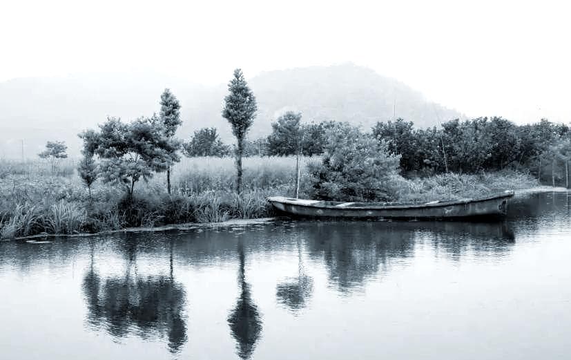 《白马湖》——朱自清的诗意美景与深情回忆