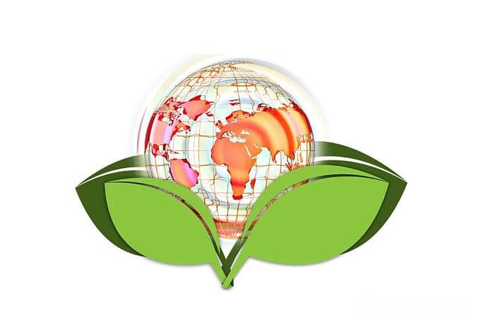 2024年中国各省份碳相关投资分析：区域差异与未来趋势
