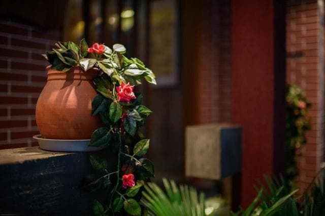 鞋子里的秘密：从穿鞋、做鞋到买鞋，看一个人的生活态度