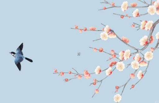 属蛇人的本命佛：普贤菩萨的智慧与象征