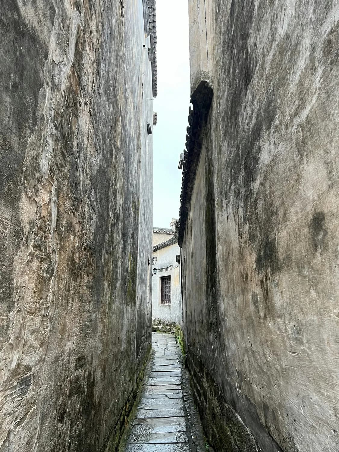 中国最美森林古道：婺源古道徒步全攻略