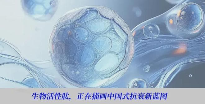 生物活性肽在美妆护肤领域的应用：从物质活性到机制通路的创新