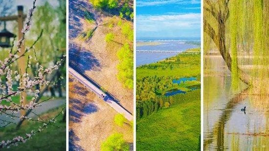 在河南湿地，来个“春呼吸”！