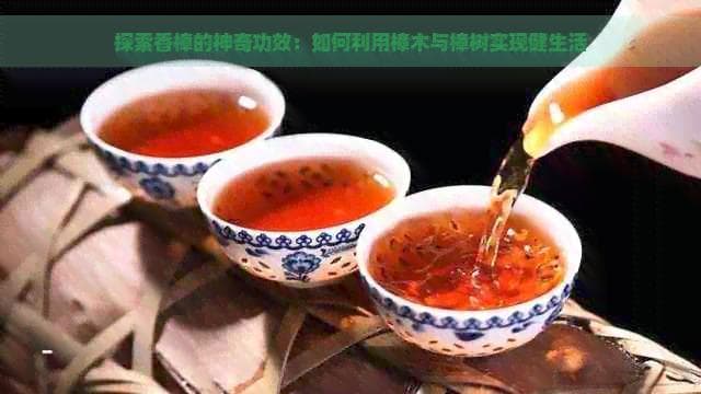 探索香樟的神奇功效：如何利用樟木与樟树实现健生活