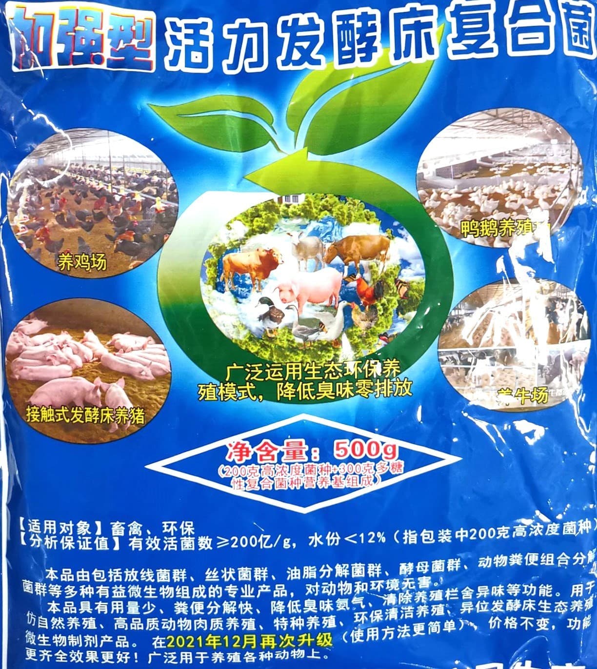 【视频】鸡舍潮湿氨气大怎么办？发酵床轻松解决这个问题