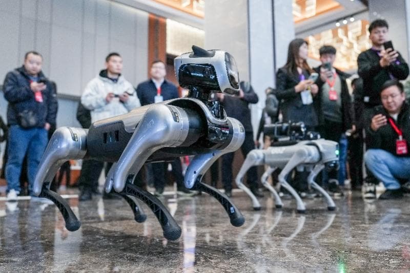 产业缺口数百万，全国人大代表铁凝：亟须培养AI复合型人才