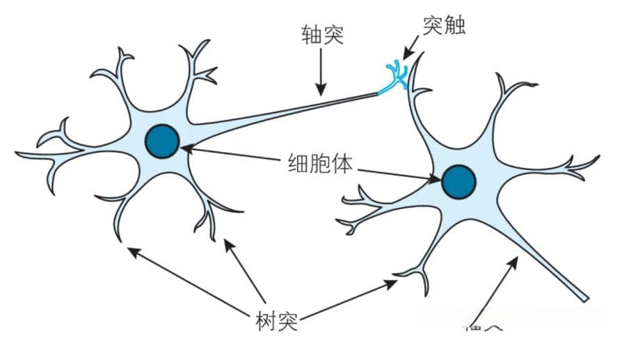 AI模型训练到底在训练什么？看完这篇你就知道了！！