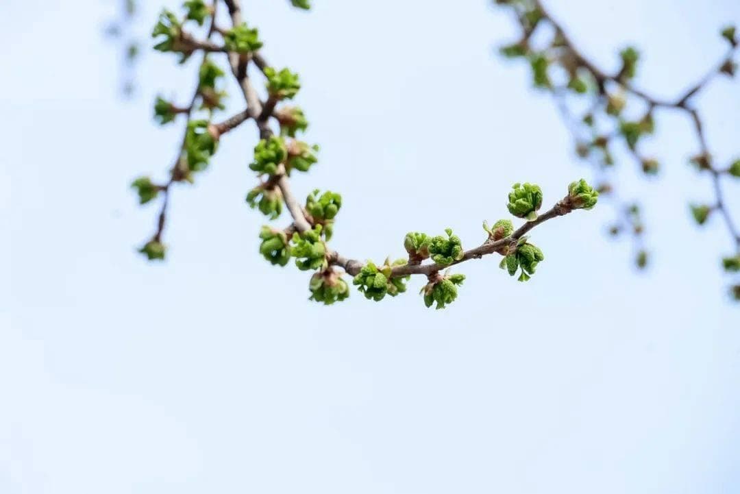洪丽娟：一节古诗融合课带来的启示