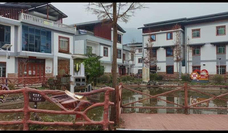 传承黄文秀精神 广西百坭村返乡青年续写青春之歌