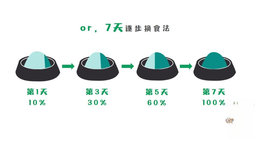 如何正确使用纯化型饲料，完成高效造模？