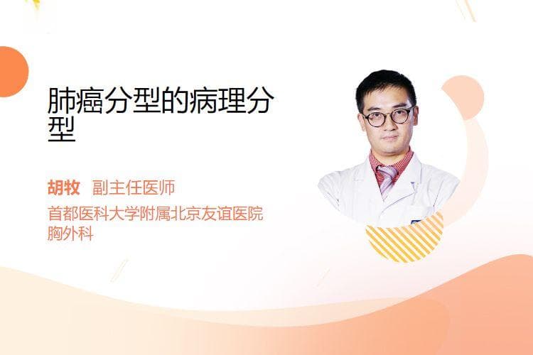 肺癌分型的病理分型