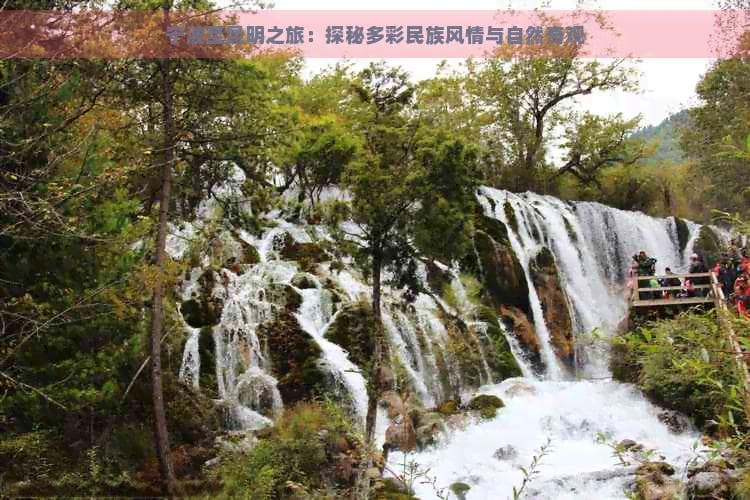 宁波至昆明之旅：探秘多彩民族风情与自然奇观