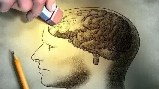 操控记忆？选择性切除突触的伦理与影响