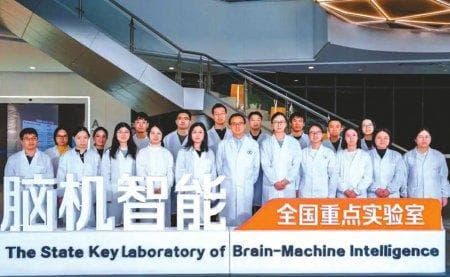 大脑是如何高效低耗运作的？