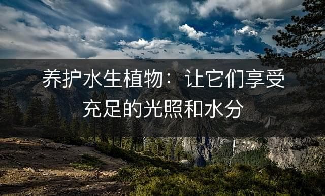 从光照到施肥：家庭水生植物科学养护指南