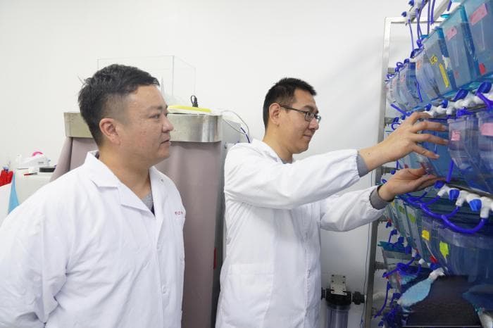 揭秘被带入太空的斑马鱼如何助力医学研究