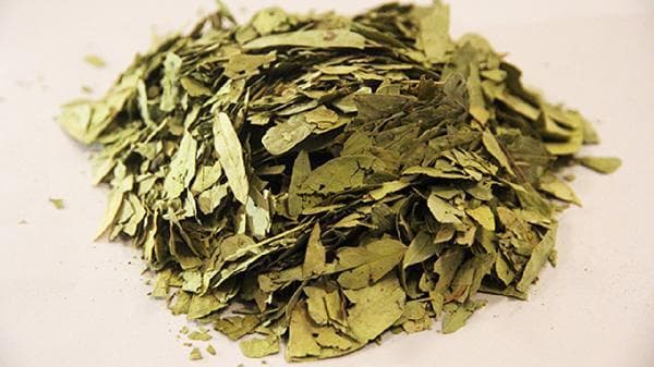 警惕！番泻叶别喝多了，不然危害远比想象严重！