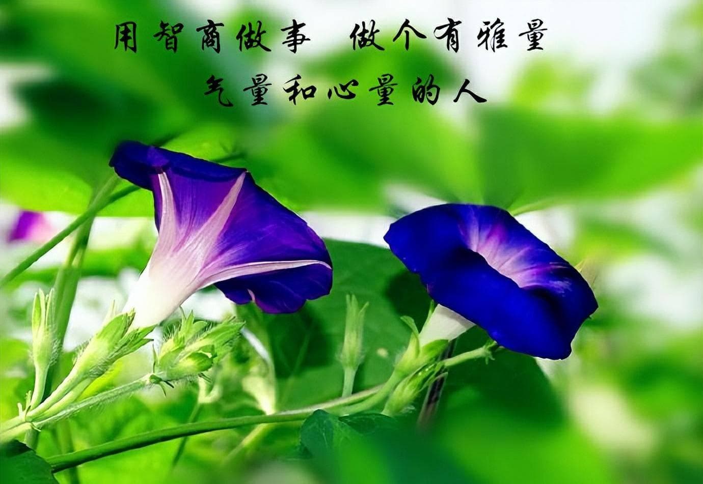 唐代三位“崔”姓诗人：以诗演绎传奇，名垂诗史