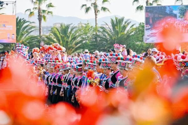 云南的花花世界：高山杜鹃 从文化传承到“亿元”产业