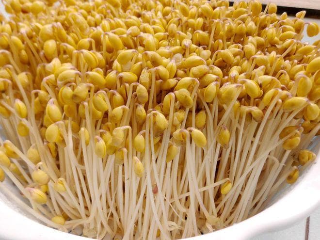 黄豆芽怎么生最快最好