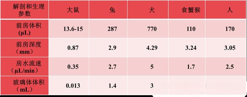 经玻璃体腔注射眼科药物的非临床和早期临床研究系列(一)—药理学研究