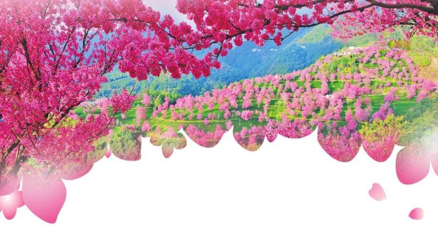 云南大理南涧：冬暖南涧 慢享生活