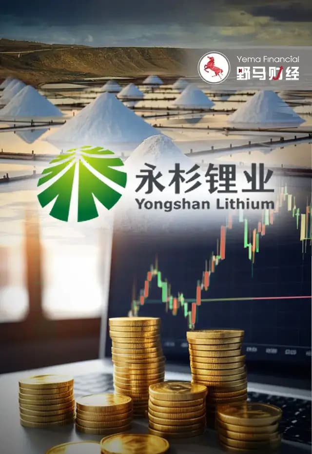 豪掷8亿！“福建富豪”吴华新吞下“杉杉系”永杉锂业