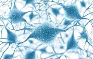 科学家首次实现活细胞深低温冷冻保存中的协同抑冰