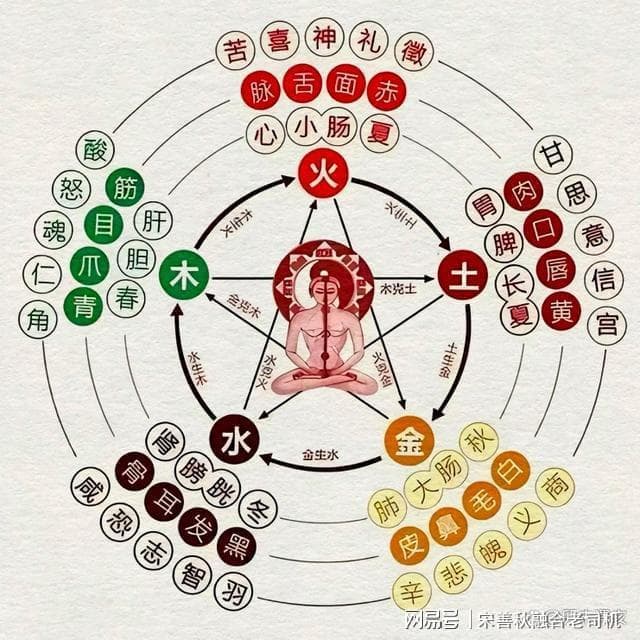 “毉”与“醫”：同根同源，见证医学传奇之路