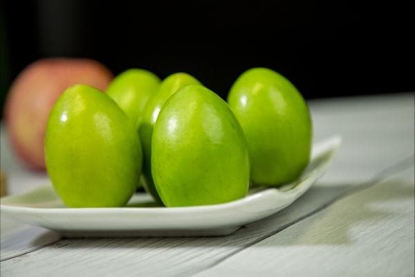 青枣的功效与作用、禁忌和食用方法